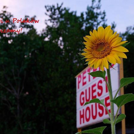 Peter'S Guest House ซิคนาคี ภายนอก รูปภาพ