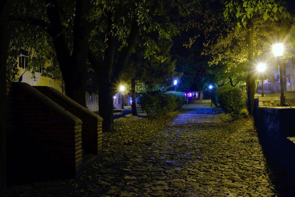 Peter'S Guest House ซิคนาคี ภายนอก รูปภาพ