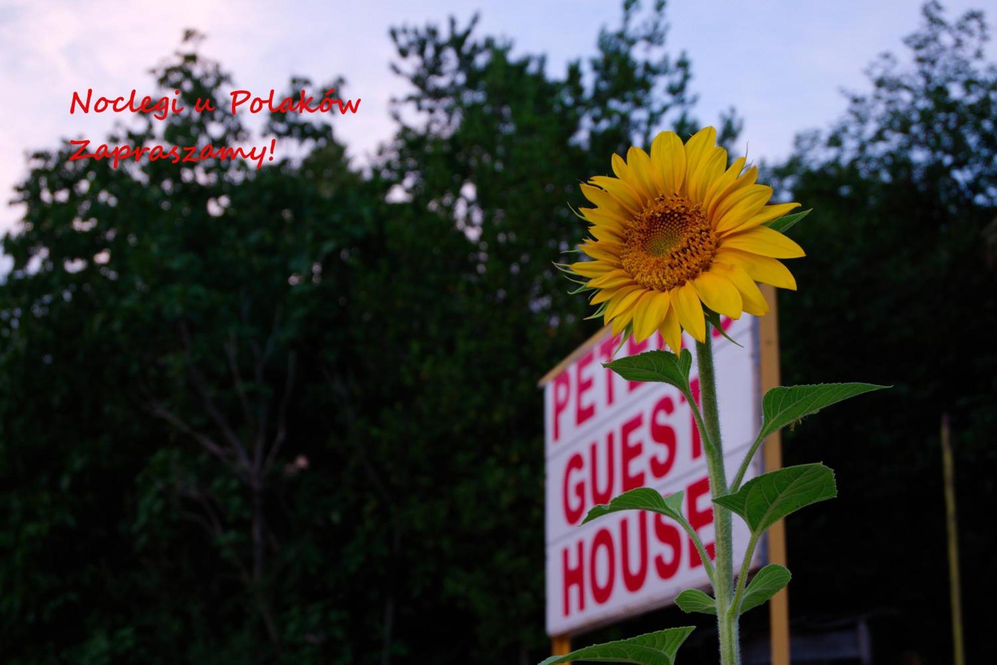 Peter'S Guest House ซิคนาคี ภายนอก รูปภาพ